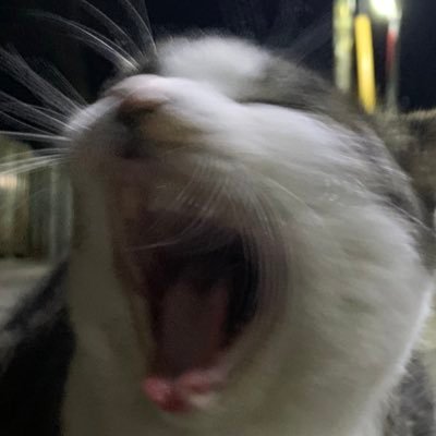 yamamoto1916_'s profile picture. 