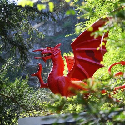 DdraigyLlan's profile picture. 