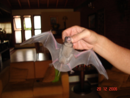 PazJota's profile picture. Vote KALLAK para abrir o festival João Rock em Ribeirão Preto! Basta acessar o link abaixo, LOGAR com a conta do face, e votar para a KALLAK!