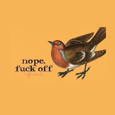 MegRecovers's profile picture. I have no idea what's happening 🦋 
She/Her 💜