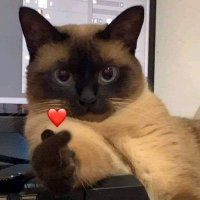 C de Comento tudo que vir. (@_mikey_ma) 's Twitter Profile