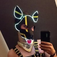 Pup Argo (@pup_argo) 's Twitter Profile