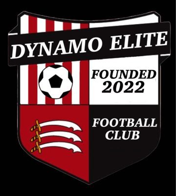 Vets team members of the FA Southend Borough Combination Veterans League. 
Search Dynamo Elite on Facebook and TikTok.