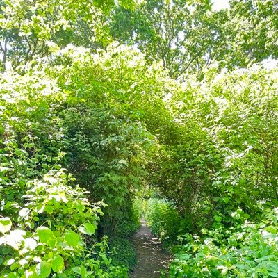 Its_marv_mmm's profile picture. Daydreamer