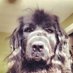 the hill ensemble π΅πΈ (@steviewelles55) Twitter profile photo the hill ensemble π΅πΈ (@steviewelles55) Twitter profile photo