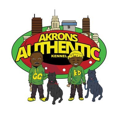 Akron’s Authentic Kennel Focused on health temperament structure and having Fun