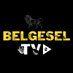 Belgesel TV (@belgeseItv) Twitter profile photo