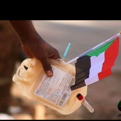 NasrenArbab's profile picture. 