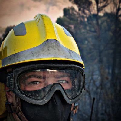 Técnico Superior GORNP. Brigada Forestal Mula. Batefuegos de oro (Imagen) 2020