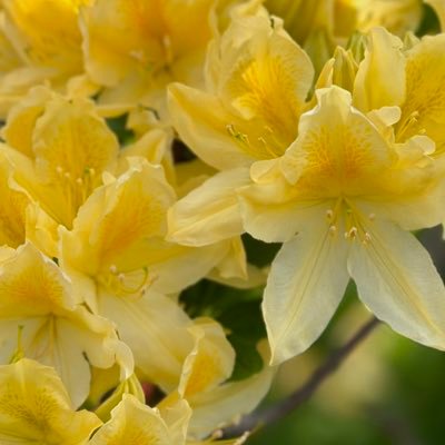 yukohirakiyo's profile picture. #美しい彼 とそれを作った方々についてつぶやく。成人済みウツカレの民 #凪良ゆう 作品の話も。 無断転載反対Opposed to unauthorized reproduction. note : https://t.co/G5bX6xXd2W ヘッダーは殿下様@miyuu_art 許可済み