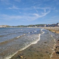 Chilled-dudette (@slshultan) 's Twitter Profile