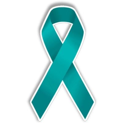 Owner of Rockstar Cleaning and Organization. Residential Cleaning. 🎶⭐
Foodie 👩🍳🍽️🌮🍓🍝🍟
Huge @yankees fan 💙
Dog Mom. 🐾
Ovarian Cancer Survivor 💪