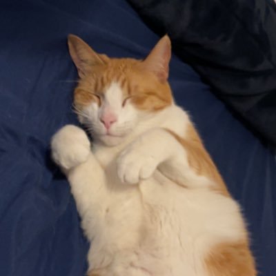 httpsmemes's profile picture. 