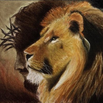 DLW281's profile picture. 