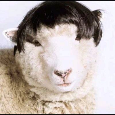 t2v5IoQTmeBZzFv's profile picture. 訳あって匿名の…美容業界の人 美容師、ディーラー、美容師、メーカー 美容師と業界を渡り歩いついるが故に…斜め目線をお許しください。 派遣美容師やディーラー経験から200店以上の美容院の内情を見てます 。 その昔BOCと言うイベントに参加、 カラーにおける水素処理剤の日本発の発案者。 西海グレーカラーメソッドの継承者。