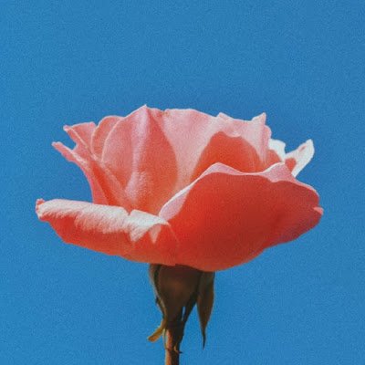 issamelrhouizi's profile picture. 