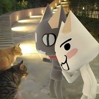 matchawboba (@asadmoon3010) 's Twitter Profile