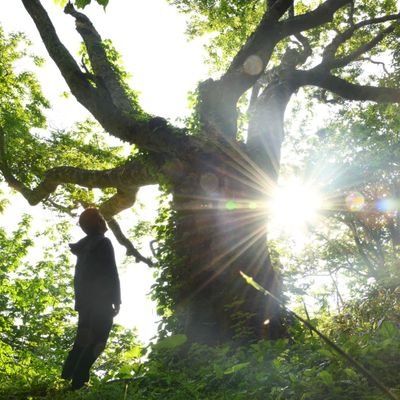 shnsys3522's profile picture. 