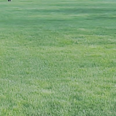 cactus_guluin's profile picture. ✨welcome!   中文/ENG🆗 👉#fanart #TREASURE 🚫ai