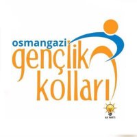 Osmangazi AK Gençlik 🇹🇷(@osmngzakgenclik) 's Twitter Profile Photo