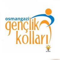 Osmangazi AK Gençlik 🇹🇷 (@osmngzakgenclik) 's Twitter Profile