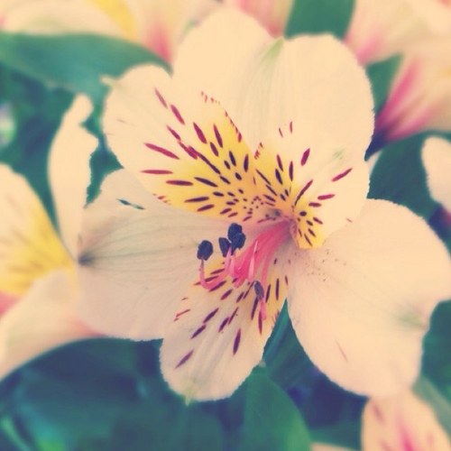 ak_positivity's profile picture. enough with the drama. it is time for a change. a positive one.