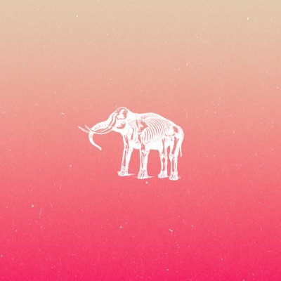 Elephant Sessions Profile