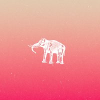 Elephant Sessions(@ElephantSession) 's Twitter Profileg