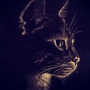 marie-anne duplessis - @marieannecd - Twitter