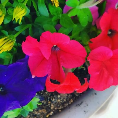 p_mitchell15's profile picture. Married to my best friend. 
Be good stewards of God's creation.