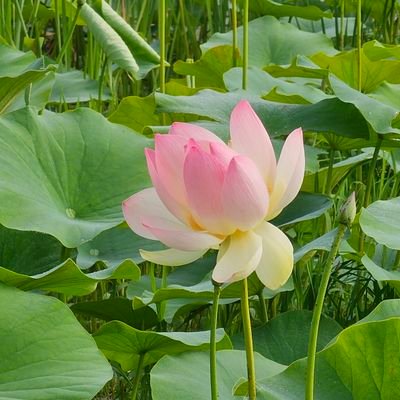 bzeronews1's profile picture. 