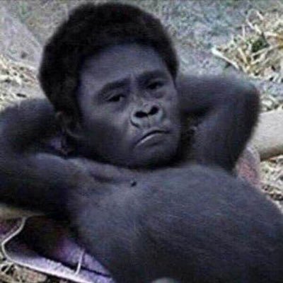 ZEPHYR1100RSB5's profile picture. 無言フォロー失礼します。じじいです。バイクとお笑いが好きです。