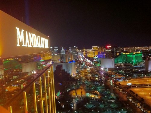 lvchimp's profile picture. 