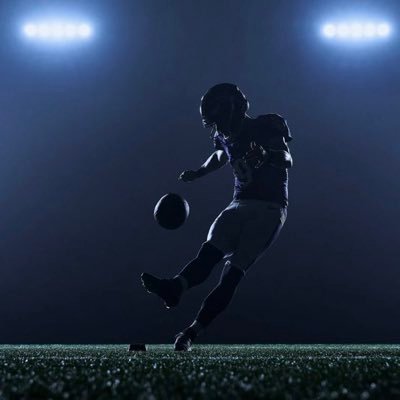RavenFlocker's profile picture. #RavensFlock Official Ball Knower