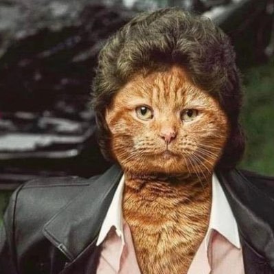 Younes_Kch's profile picture. Développeur web junior