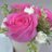 roshan55667788's profile image