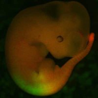 McGlinn Lab (@mcglinnlab) 's Twitter Profile