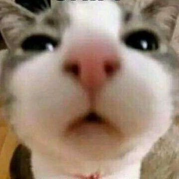 Krepobep's profile picture. Im a dude, just browsing twitter. Might comment every now and then, wont really post anything.