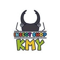 INSECTSHOP KMY(インセクトショップKMY)(@insectshopkmy) 's Twitter Profile Photo