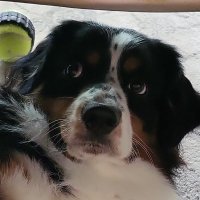 Wazzupwitchoo (@wazzupwitchoo) 's Twitter Profile