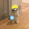 codingwithburak's profile picture. building https://t.co/Y0KtgxdO7b
react and java developer / linux enthusiast