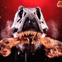 Ray Land - @whaprux - Twitter