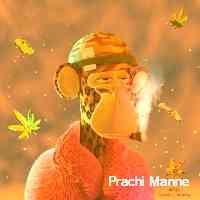 Prachi Manne (@prachimaanen46) 's Twitter Profile