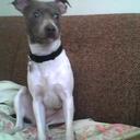 matthew zack - @lookingforlove6 - Twitter