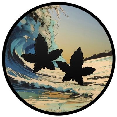 Squilly4444's profile picture. Glass Art Gallery & Smoke Shop - 100s of refs. 50+ 5 star reviews on GlassPass. Dm for info!