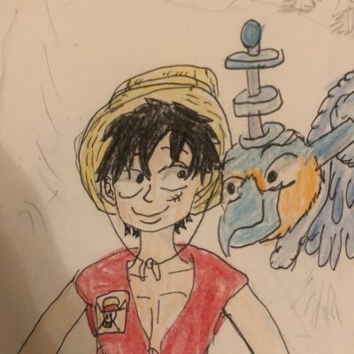 Just a dorky gal who loves One Piece and loves to draw