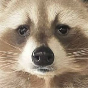 苗さんのプロフィール画像