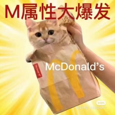 zzzzz04586020's profile picture. 