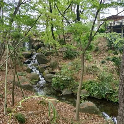 ryamu119864's profile picture. 