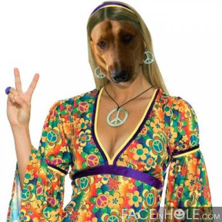 maebellepup's profile picture. i am a lab mix that has a part time job at #nipclub as a barktender! and  i have 3 loving owners and live with my brofur and the evil parrot bongo!